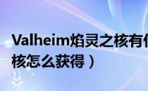 Valheim焰灵之核有什么用（英灵神殿焰灵之核怎么获得）