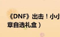 《DNF》出击！小小净化号活动（华丽的徽章自选礼盒）