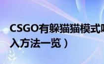 CSGO有躲猫猫模式吗（CSGO躲猫猫模式进入方法一览）