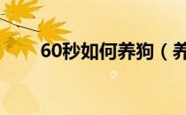 60秒如何养狗（养狗事件流程介绍）