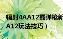 辐射4AA12霰弹枪新动作视频演示（辐射4AA12玩法技巧）