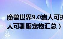 魔兽世界9.0猎人可抓宠物大全（wow9.0猎人可驯服宠物汇总）