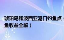 琥珀岛和波西亚港口钓鱼点（波西亚时光鱼类分布在哪里 钓鱼收益全解）