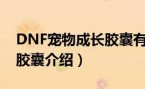 DNF宠物成长胶囊有什么用（DNF宠物成长胶囊介绍）