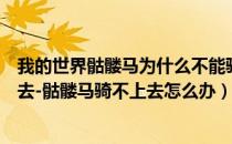 我的世界骷髅马为什么不能骑（我的世界骷髅马怎么骑不上去-骷髅马骑不上去怎么办）