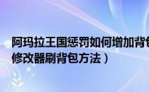 阿玛拉王国惩罚如何增加背包（《阿玛拉王国：惩罚》不用修改器刷背包方法）