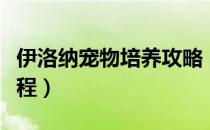 伊洛纳宠物培养攻略（《伊洛纳》宠物培养教程）