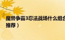 魔兽争霸3忍法战场什么组合厉害（忍法战场强力阵容组合推荐）