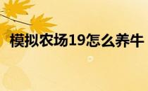 模拟农场19怎么养牛（牛棚规划完全指南）