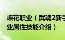 蝶花职业（武魂2新手怎么选职业 武魂2各职业属性技能介绍）