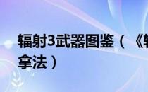 辐射3武器图鉴（《辐射3》特殊武器的详细拿法）