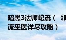 暗黑3法师蛇流（《暗黑破坏神3》沙罗曼蛇流巫医详尽攻略）