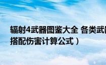 辐射4武器图鉴大全 各类武器伤害说明（辐射4各武器前缀搭配伤害计算公式）