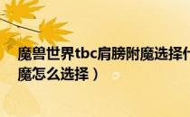 魔兽世界tbc肩膀附魔选择什么好（wowtbc怀旧服肩膀附魔怎么选择）