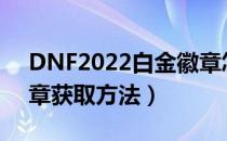 DNF2022白金徽章怎么获得（2022白金徽章获取方法）