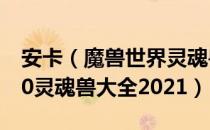 安卡（魔兽世界灵魂兽位置全部坐标 wow9.0灵魂兽大全2021）