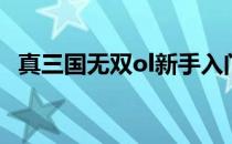 真三国无双ol新手入门怎么玩（入门攻略）