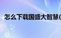 怎么下载国盛大智慧(国盛大智慧官方下载)