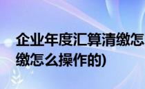 企业年度汇算清缴怎么操作(企业年度汇算清缴怎么操作的)