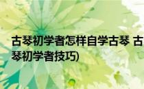 古琴初学者怎样自学古琴 古琴入门零基础(如何弹好古琴 古琴初学者技巧)