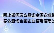 网上如何怎么查询全国企业信用信息公示系统查询(网上如何怎么查询全国企业信用信息公示系统查询结果)