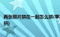 两张照片拼在一起怎么拼(苹果手机把两张照片拼在一起怎么拼)