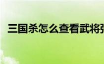 三国杀怎么查看武将张羡简介(三国杀张绣)