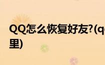 QQ怎么恢复好友?(qq怎么恢复好友设置在哪里)