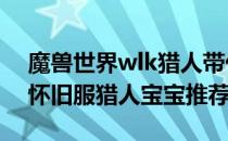 魔兽世界wlk猎人带什么宝宝（wow80wlk怀旧服猎人宝宝推荐）