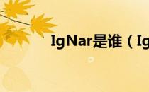 IgNar是谁（IgNar个人资料）