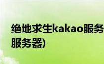 绝地求生kakao服务器怎么进(如何进kakao服务器)