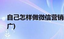 自己怎样做微信营销(自己怎样做微信营销推广)