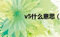 v5什么意思（v5意思介绍）