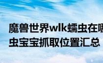 魔兽世界wlk蠕虫在哪抓（wowwlk怀旧服蠕虫宝宝抓取位置汇总）