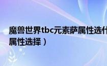 魔兽世界tbc元素萨属性选什么（wow70tbc怀旧服元素萨属性选择）