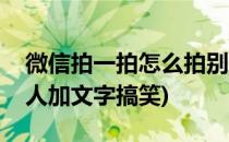 微信拍一拍怎么拍别人(微信拍一拍怎么拍别人加文字搞笑)