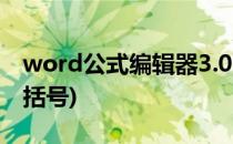 word公式编辑器3.0(word公式编辑器3.0大括号)