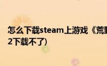 怎么下载steam上游戏《荒野大镖客2》(steam荒野大镖客2下载不了)