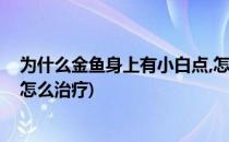 为什么金鱼身上有小白点,怎么治(小金鱼身上有很多小白点怎么治疗)