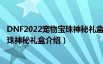 DNF2022宠物宝珠神秘礼盒能开出什么（DNF2022宠物宝珠神秘礼盒介绍）