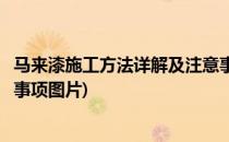 马来漆施工方法详解及注意事项(马来漆施工方法详解及注意事项图片)