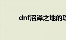 dnf沼泽之地的攻略(沼泽地下城)