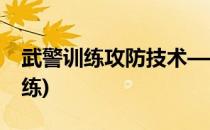 武警训练攻防技术——防守训练(武警基本训练)