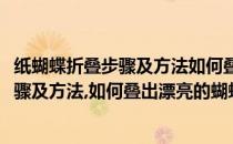 纸蝴蝶折叠步骤及方法如何叠出漂亮的蝴蝶呢(纸蝴蝶折叠步骤及方法,如何叠出漂亮的蝴蝶呢视频)