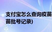 支付宝怎么查询疫苗批号(支付宝怎么查询疫苗批号记录)