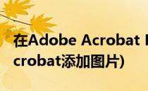 在Adobe Acrobat Pro中插入图片(adobeacrobat添加图片)