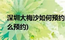 深圳大梅沙如何预约门票(深圳大梅沙门票怎么预约)