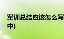 军训总结应该怎么写(军训总结应该怎么写初中)