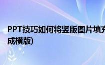 PPT技巧如何将竖版图片填充在横版页面(ppt怎样把竖版做成横版)