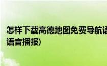 怎样下载高德地图免费导航语音(怎样下载高德地图免费导航语音播报)